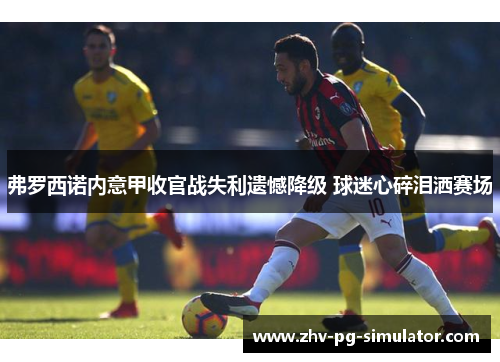 弗罗西诺内意甲收官战失利遗憾降级 球迷心碎泪洒赛场