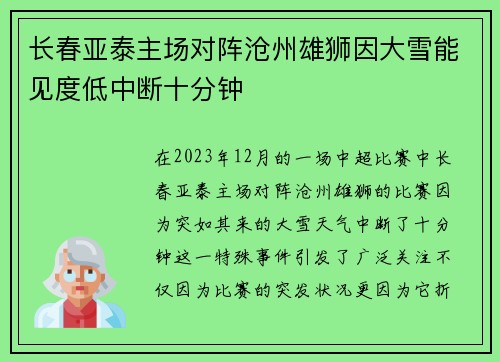 长春亚泰主场对阵沧州雄狮因大雪能见度低中断十分钟